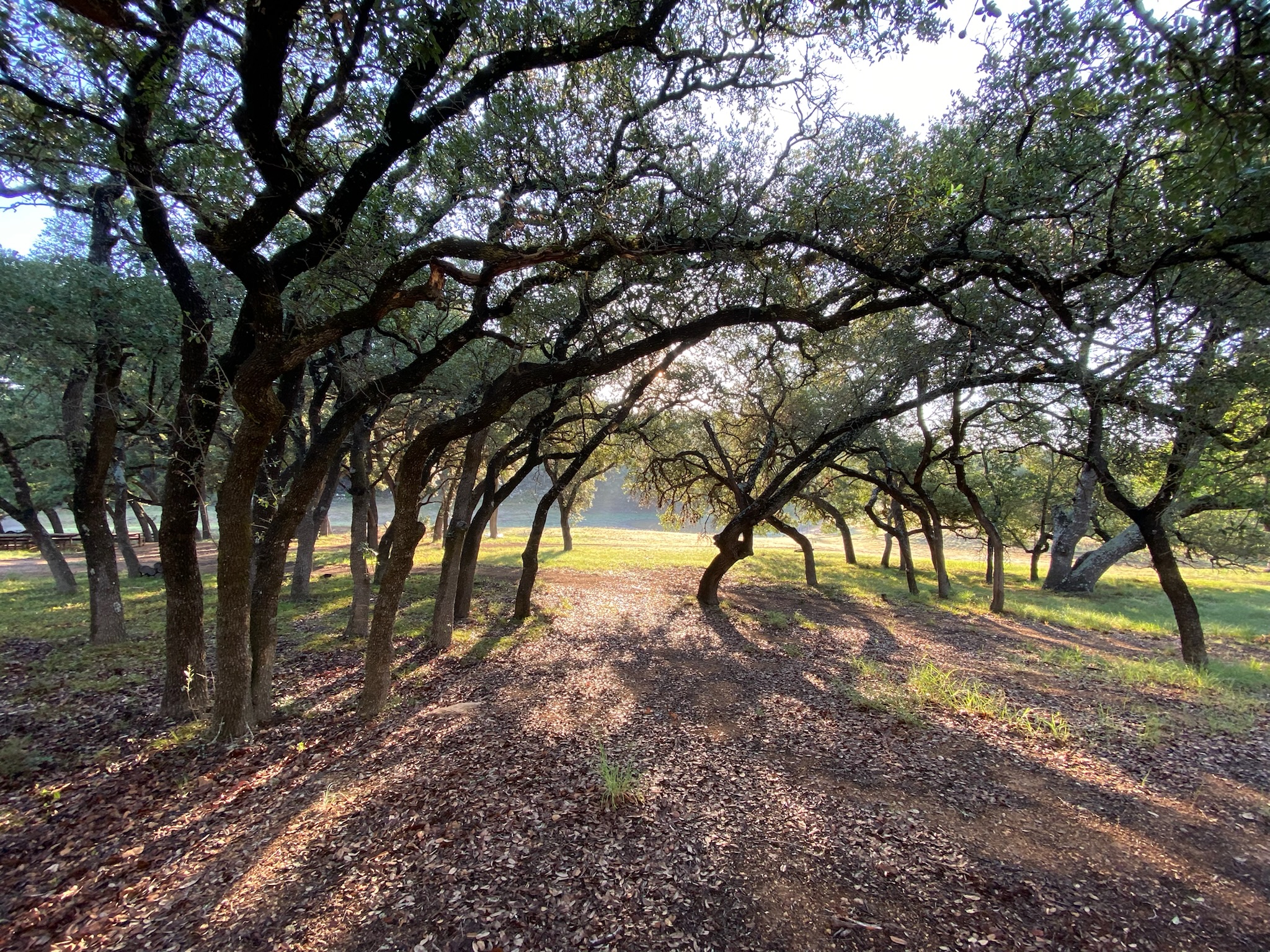 Beautiful landscapes